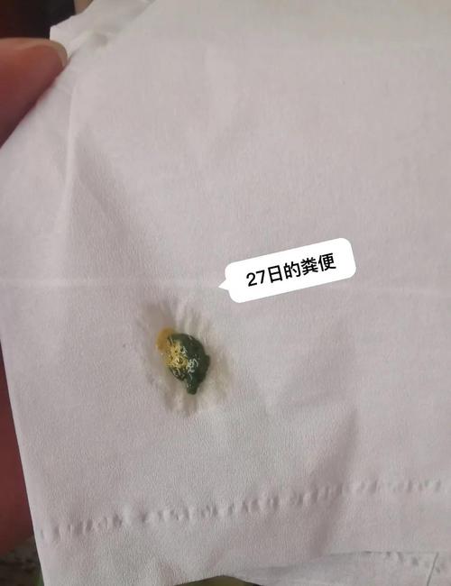 鹦鹉粪便颗粒状？看健康！（鹦鹉不消化拉出来的还有颗粒）