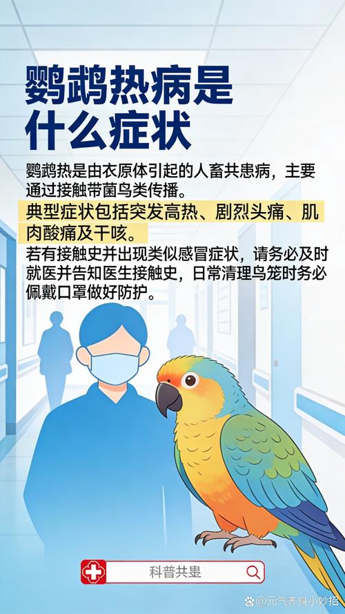 预防感染关键!(人得了鹦鹉热会传染他人吗) 预防感染关键!(人得了鹦鹉热会传染他人吗)