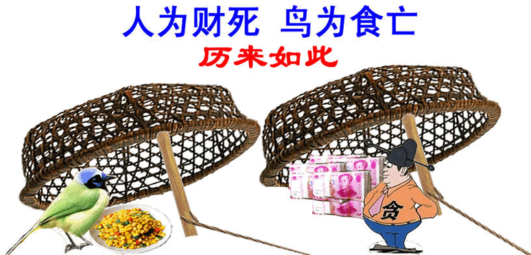 贪婪害人，财富需有度（人为财死鸟为食亡告诉我们什么道理）