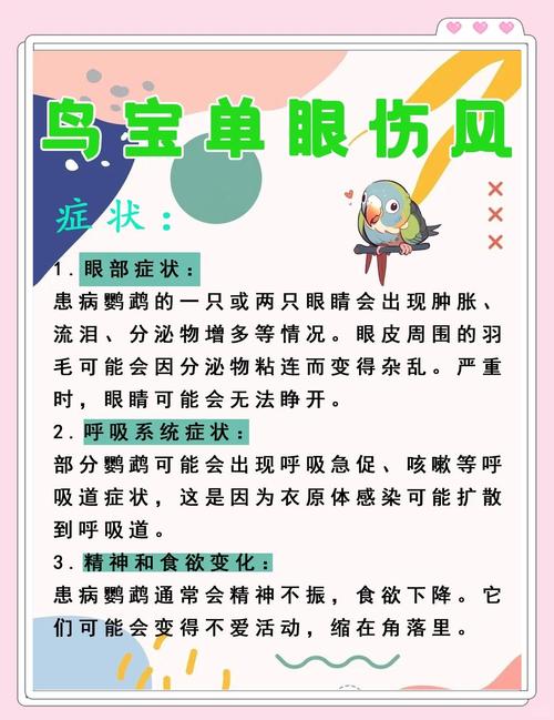 注意卫生，科学养鸟不用慌（鹦鹉单眼伤风肯定会传染吗）
