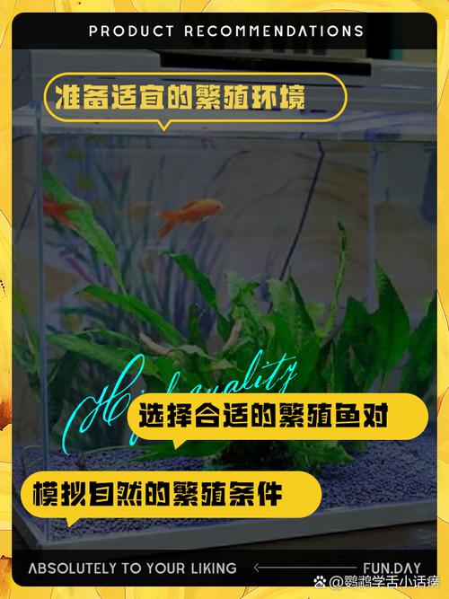 新手养鹦鹉鱼,注意水质和喂食,保持健康鲜艳(新手鹦鹉鱼饲养方法和注意事项有哪些) 新手养鹦鹉鱼,注意水质和喂食,保持健康鲜艳(新手鹦鹉鱼饲养方法和注意事项有哪些)