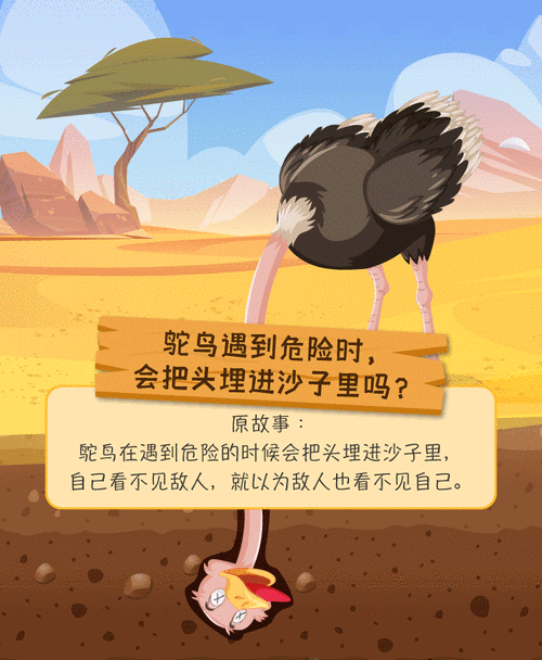 鸵鸟低头不是怕，是吃沙或孵蛋（为什么鸵鸟喜欢把头埋在沙子里）