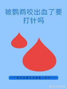 鹦鹉咬伤出血需打针吗？看伤口情况！（被家里的鹦鹉咬出血了要打针吗）