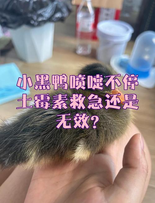 鸟拉稀喷嚏不用土霉素，预防治疗有讲究（鸟拉稀打喷嚏土霉素有用吗）
