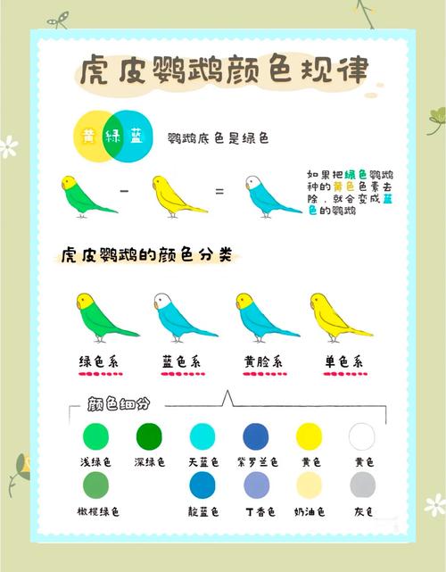 虎皮鹦鹉蓝绿基因遗传复杂，影响颜色深浅和组合（蓝色和绿色的虎皮鹦鹉能生出什么颜色的）